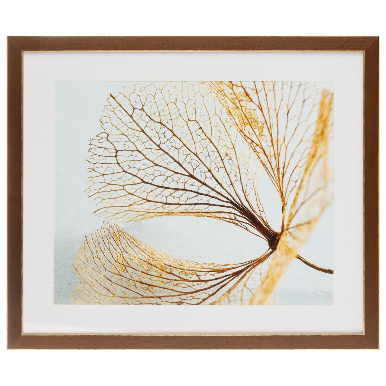 8 Pack: Walnut & Gold Trim Frame with Mat, Gallery by Studio Décor®
